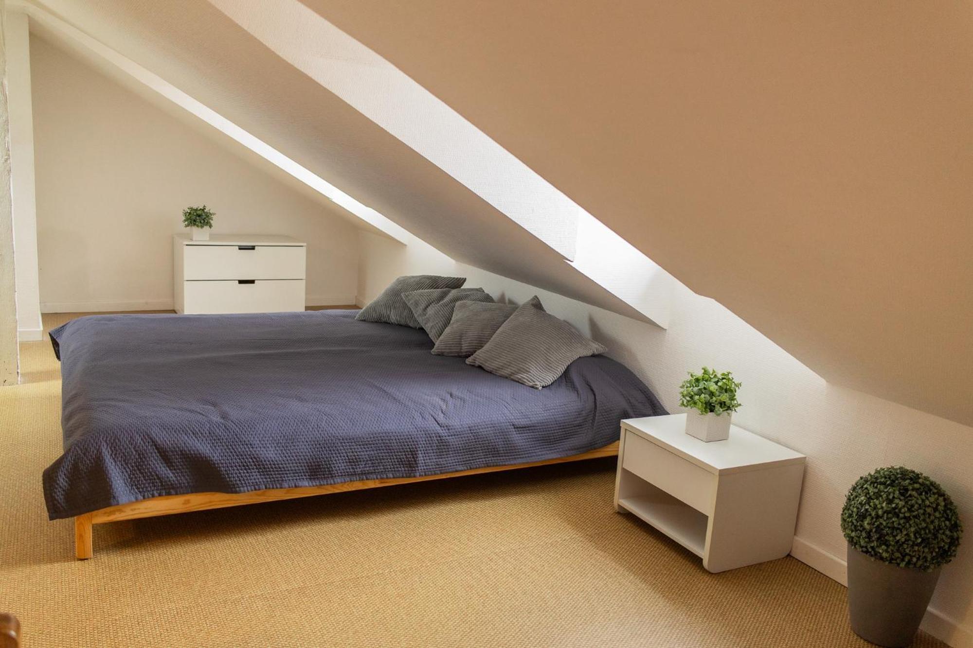 City Center Duplex Loft 科尔马 外观 照片